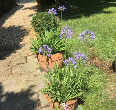 CHAMBRES Bourges proche centre : personnes mutées.