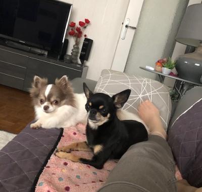 Jolie chambre à louer confortable