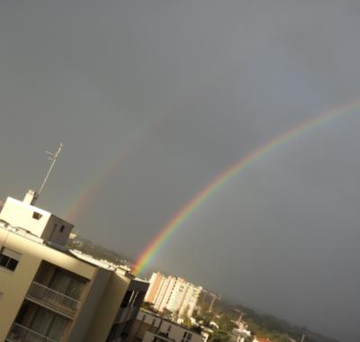 Jolie chambre à louer confortable