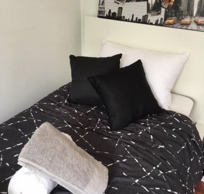 Chambre avec salle de bain privative / grenoble