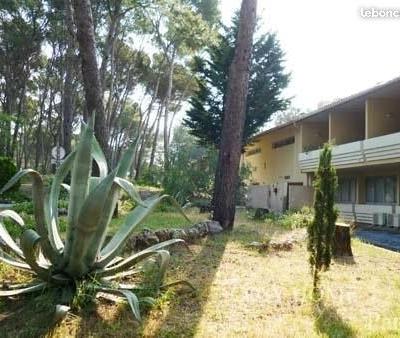 Studio vue sur mer à louer