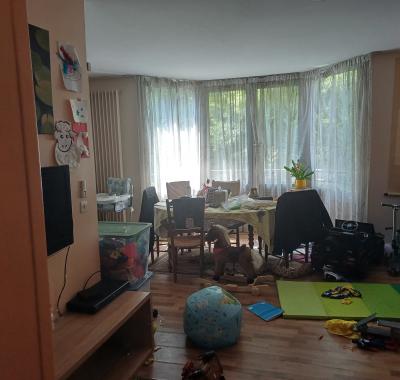Chambre à louer dans appartement de 100m2