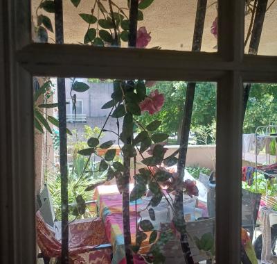 Chambre à louer dans appartement de 100m2