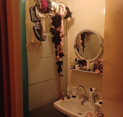 Chambre à louer dans appartement de 100m2