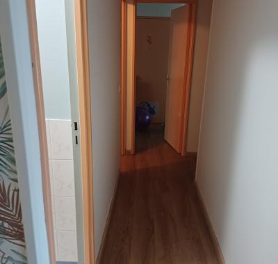 Chambre à louer dans appartement de 100m2