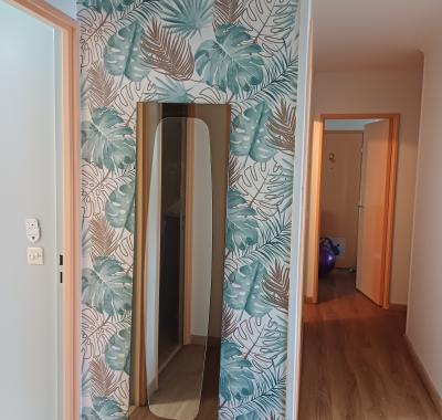 Chambre à louer dans appartement de 100m2