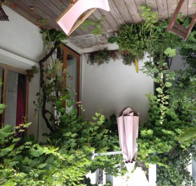 Chambres à louer - La campagne à Paris