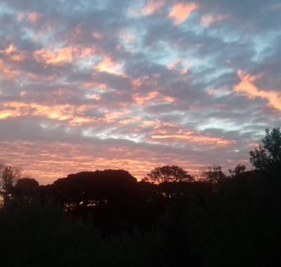 Chambres chez l habitants