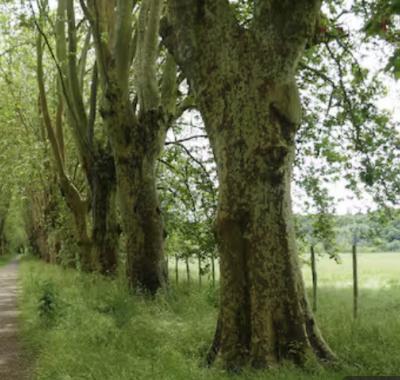 Chambres à louer à l’étage de ma maison