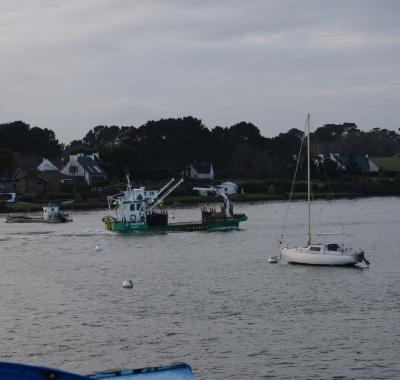 Chambre à louer à Baden 56