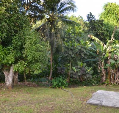 Chambres à louer dans maison confortable