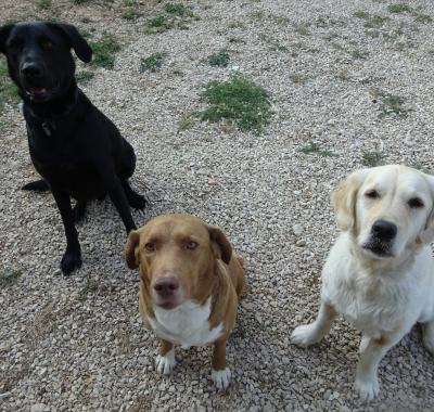 Chambre à louer avec sa salle de bains privée