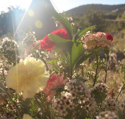 Logement atypique dans un Tipi en Algarve ( Portugal, proche Faro )