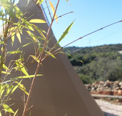 Logement atypique dans un Tipi en Algarve ( Portugal, proche Faro )