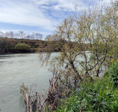 Chambre salle de bain privée -San Paolo Trastevere Università ROMA TRE