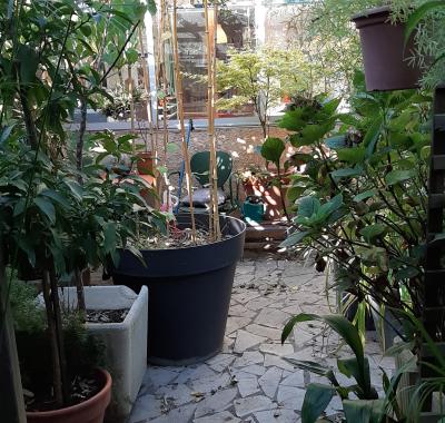 Chambre a louer a lunel