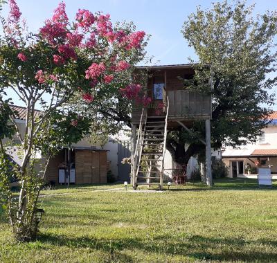 Superbe petite cabane dans un cerisier.