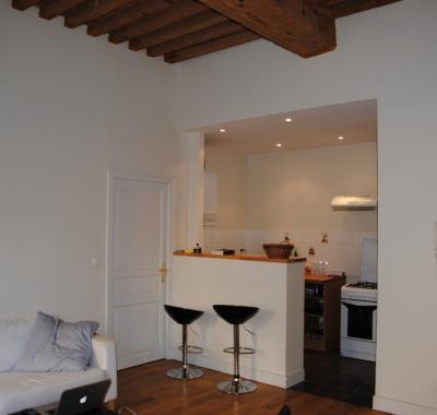 Appartement Fête des Lumières Idéalement situé terreaux