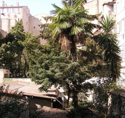 Chambre à louer Marseille 5