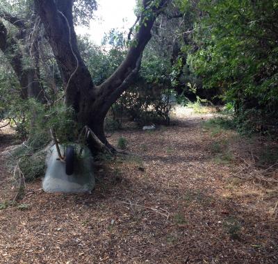 2 chambres a louer dans grand appartement