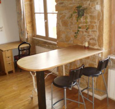 T1 bis pentes Croix-Rousse (lyon 1er) FETE DES LUMIERES LYON