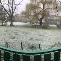 Lit 1 place dans pièce de 20 m2 partagée à 2