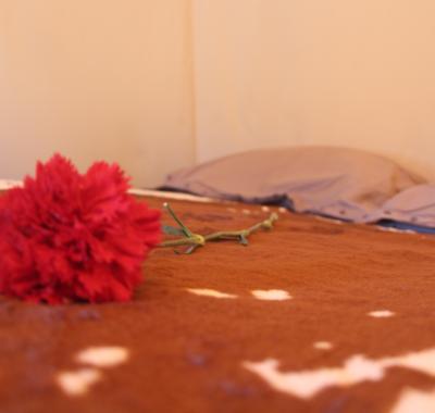 Tipi Luxury, Logement atypique en Algarve ( Portugal, proche Faro )