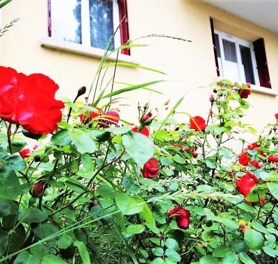 F3 TBE 100% meublé-équipé GRENOBLE centre / Tram A à 3mn