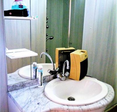 F3 TBE 100% meublé-équipé GRENOBLE centre / Tram A à 3mn