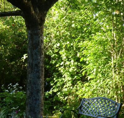 Chambre agréable dans une belle maison 15 min de la Gare