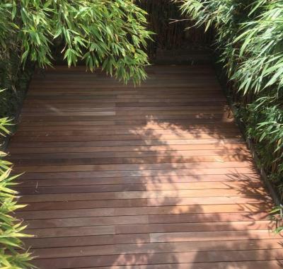 Superbe chambre dans maison en colocation