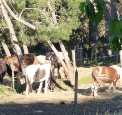 Location 2/5 pers, 3 chambre, Clim , à 100 m de la plage et centre
