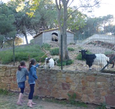 Location 2/5 pers, 3 chambre, Clim , à 100 m de la plage et centre