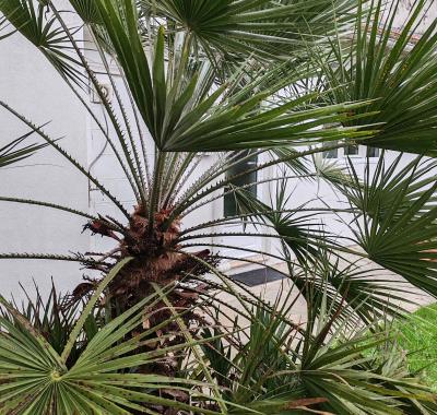 Studio indépendant dans dépendance jardin