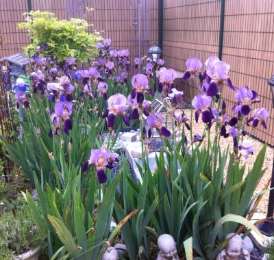 Chambre en séjour Bien Etre