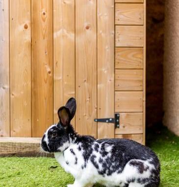 Chambre à louer chez habitant