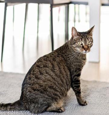 Chambre à louer chez habitant