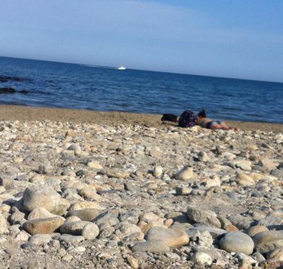 Proche Montpellier-Appartement calme - Libre du 10 au 31 juillet 2021