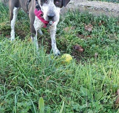 Chambre avec SDB privée