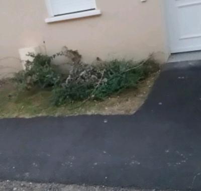 Chambre a louer issoire