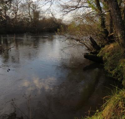 Chambre à louer à Biganos Bassin d'Arcachon