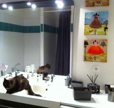 Chambre à louer Bordeaux centre