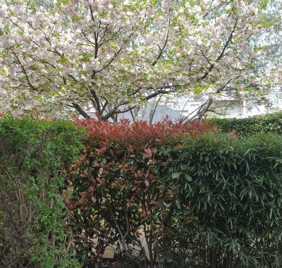 Chambre chez l'habitante à Tours nord