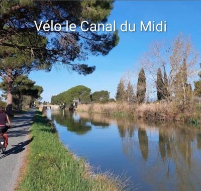 Chambre - Tourouzelle (Carcassonne/Narbonne)