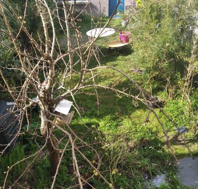 Chambre à louer à Quimper
