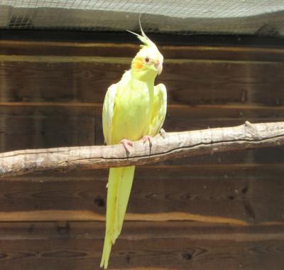 Chambre d'hôtes près de Royan