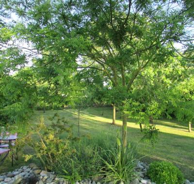 Chambres d'hôtes près de Royan
