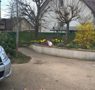 Chambre dans une maison pleine de vie