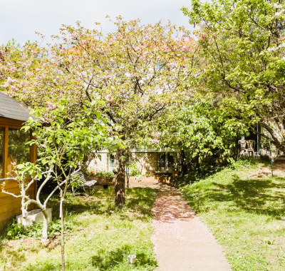 Chambre dans une maison pleine de vie