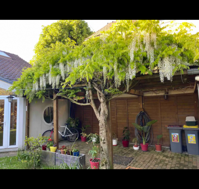 Chambre chez l’habitant